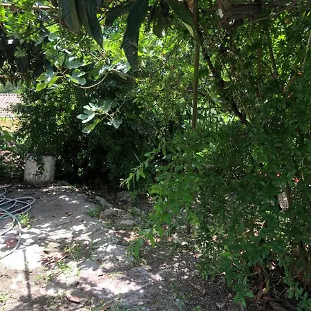 Apartment Sias Viros